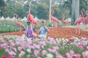 BIB: 
                            <button type="button" onclick="openModal(27344026)" class="btn btn-primary btn-sm float-right btn-popup" data-toggle="modal" data-target=".modal-high-quality">
                        <i class="fas fa-shopping-cart"></i> Add to Cart
                    </button>
                                            <button type="button" onclick="isThisMe(27344026, true)" class="btn btn-success btn-sm float-right btn-popup btn-isme hidden" data-toggle="tooltip" data-placement="bottom" title="นี่คือรูปของคุณใช่ไหม คลิกที่นี่เพื่อเอาเข้าอัลบั้ม">
                        <i class="fas fa-plus"></i> Add to album
                    </button>
                    <button type="button" onclick="isThisMe(27344026, false)" class="btn btn-warning btn-sm float-right btn-popup btn-isnotme hidden">
                        <i class="fas fa-ban"></i> Remove from album
                    </button>